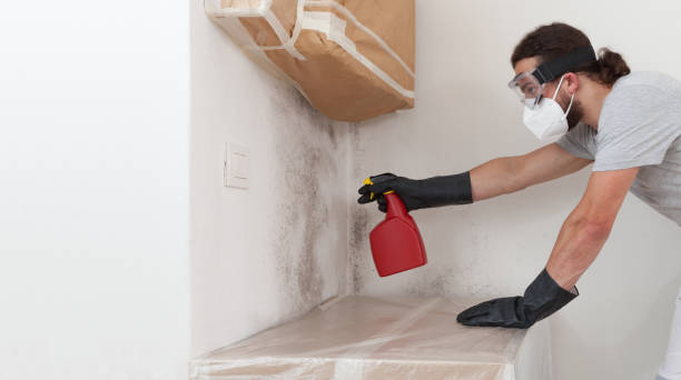 Professional Mold Removal technician working in Teterboro, NJ