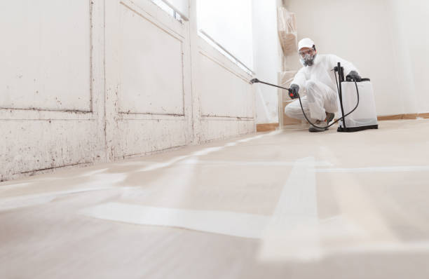 24/7 Emergency Mold Removal experts in Teterboro, NJ